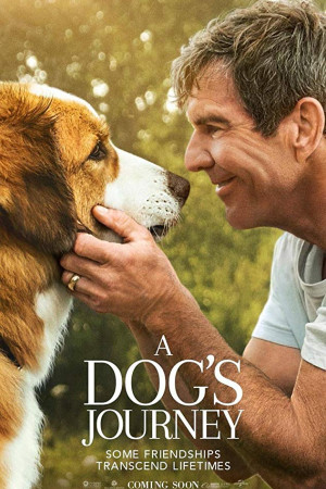 دانلود فیلم A Dogs Journey 2019 | فیلم سفر یک سگ