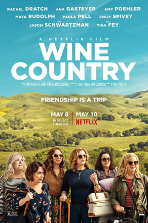 دانلود فیلم Wine Country 2019 | دانلود فیلم واین کانتری