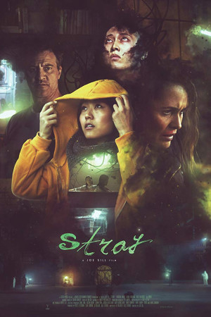 دانلود فیلم Stray 2019 | دانلود فیلم سرگردان