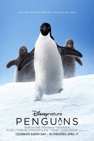 دانلود مستند Penguins 2019 | دانلود مستند پنگوئن ها