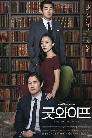 دانلود سریال کره ای همسر خوب | دانلود سریال کره ای The Good Wife