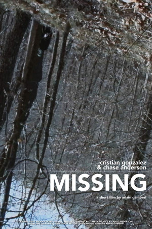 دانلود فیلم The Missing 2017 با زیرنویس فارسی | دانلود فیلم گم شده