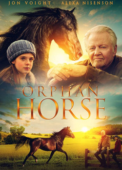 Orphan Horse