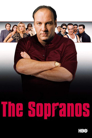 دانلود سریال سوپرانو | سریال The Sopranos