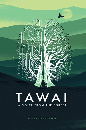 دانلود فیلم Tawai A voice from the forest 2017